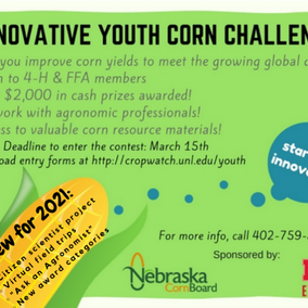 Nebraska Youth Corn Challenge info flyer