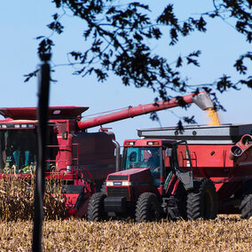Harvesting crops in field