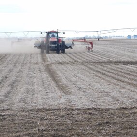 Spring planting in field