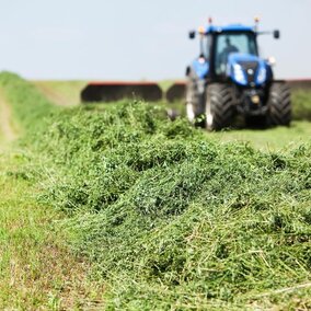 Cutting hay in field