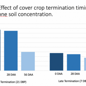 Cover crop termination timing chart