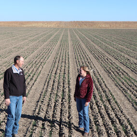 Extension educators view winter wheat plots