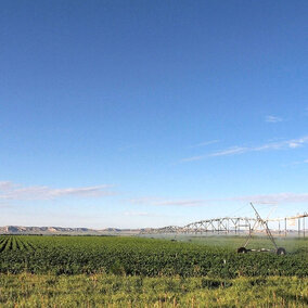 Center pivot irrigation