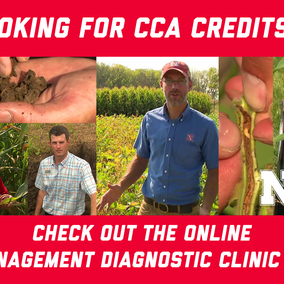 Looking for CAA Credits? Check out the online crop management diagnostic clinic courses