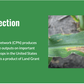 Crop Protection Network banner