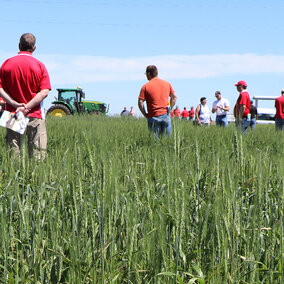 Field day attendees