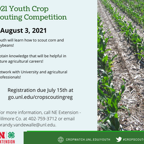 Youth Crop Scouting Competition flyer