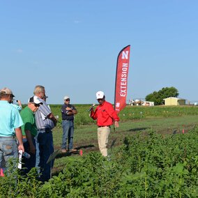 Palmer amaranth field day demo