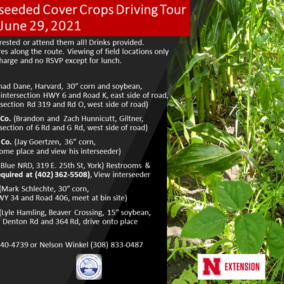 Interseeding tour brochure