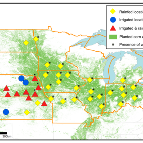 Yield forecast network of sites across the upper midwest
