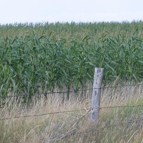 Farmland