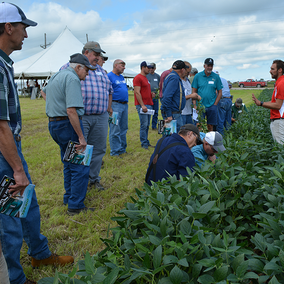 Soybean Management Field Day field demo