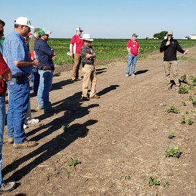 2021 Weed Management Field Day project demo