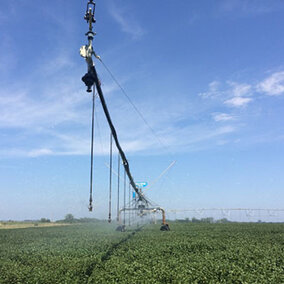 Pivot irrigation