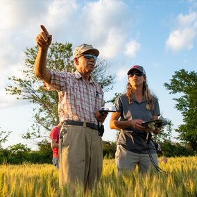 Farmers inspecting a field