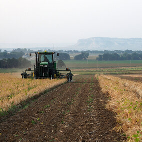 Harvesting dry edible beans