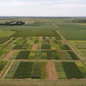 Aerial view of field