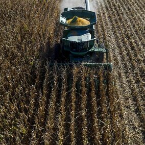 Tractor in field 