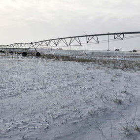 Field in winter