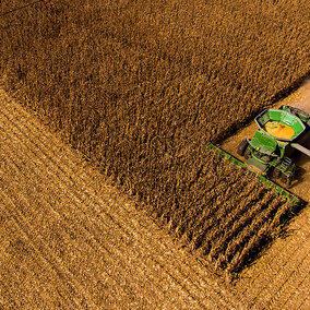 Combine in field