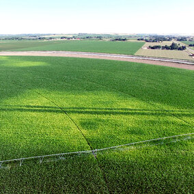 Aerial view of field