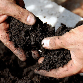 Soil in hands