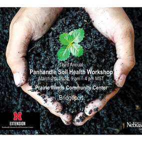 Workshop flyer