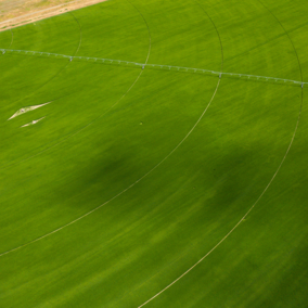 Farm field aerial view