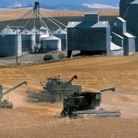 Farmland