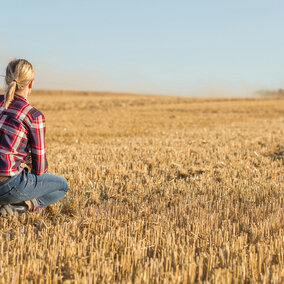 Farmer in harvested field