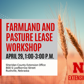 Workshop banner