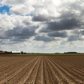 Farm soil