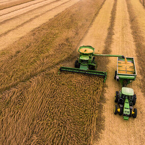 Combine in field