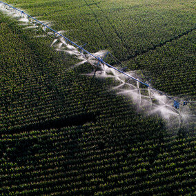 Aerial view of field