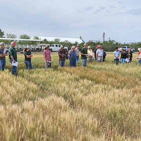 Wheat field day attendees