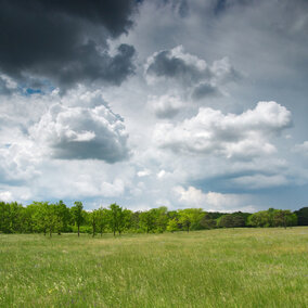 Thunderstorm over pasture