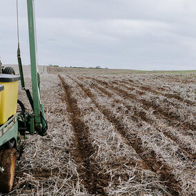 Tractor in field
