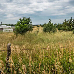 Farmland