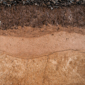 Soil layers