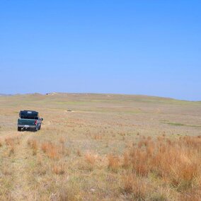 Truck in pasture