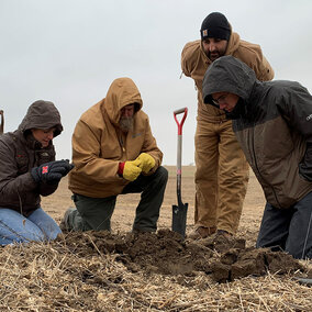 Studying soil sample