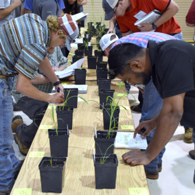 Crop Scout Training participants