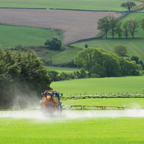 Fertilizing pasture