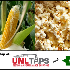 TAPS popcorn 