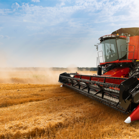 Combine in wheat field