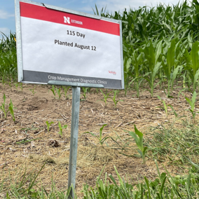 Field plot sign