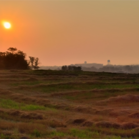 Heat wave sunrise on wheat farm