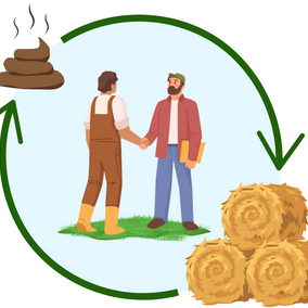 Diagram of producers trading hay and manure