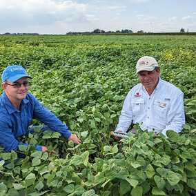 Researchers sitting in bean field