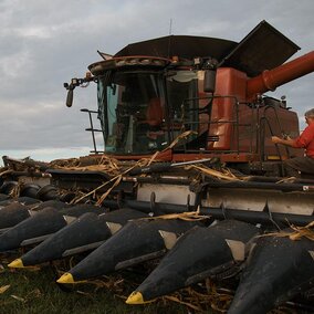 Combine in field